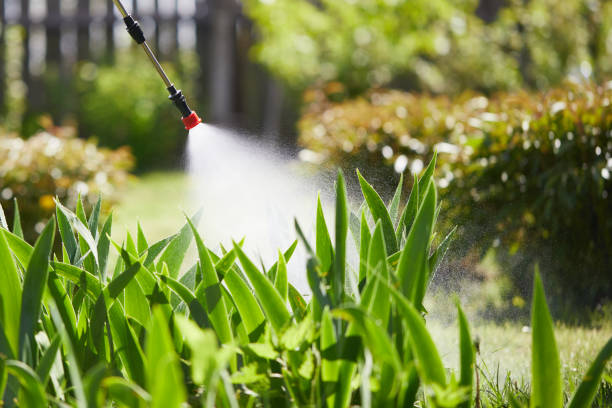 24/7 Emergency Mosquito Control experts in Poquott, NY