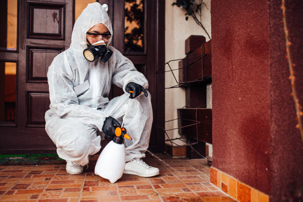 Reliable Mosquito Control contractor in Poquott, NY by Show Me Pest Control